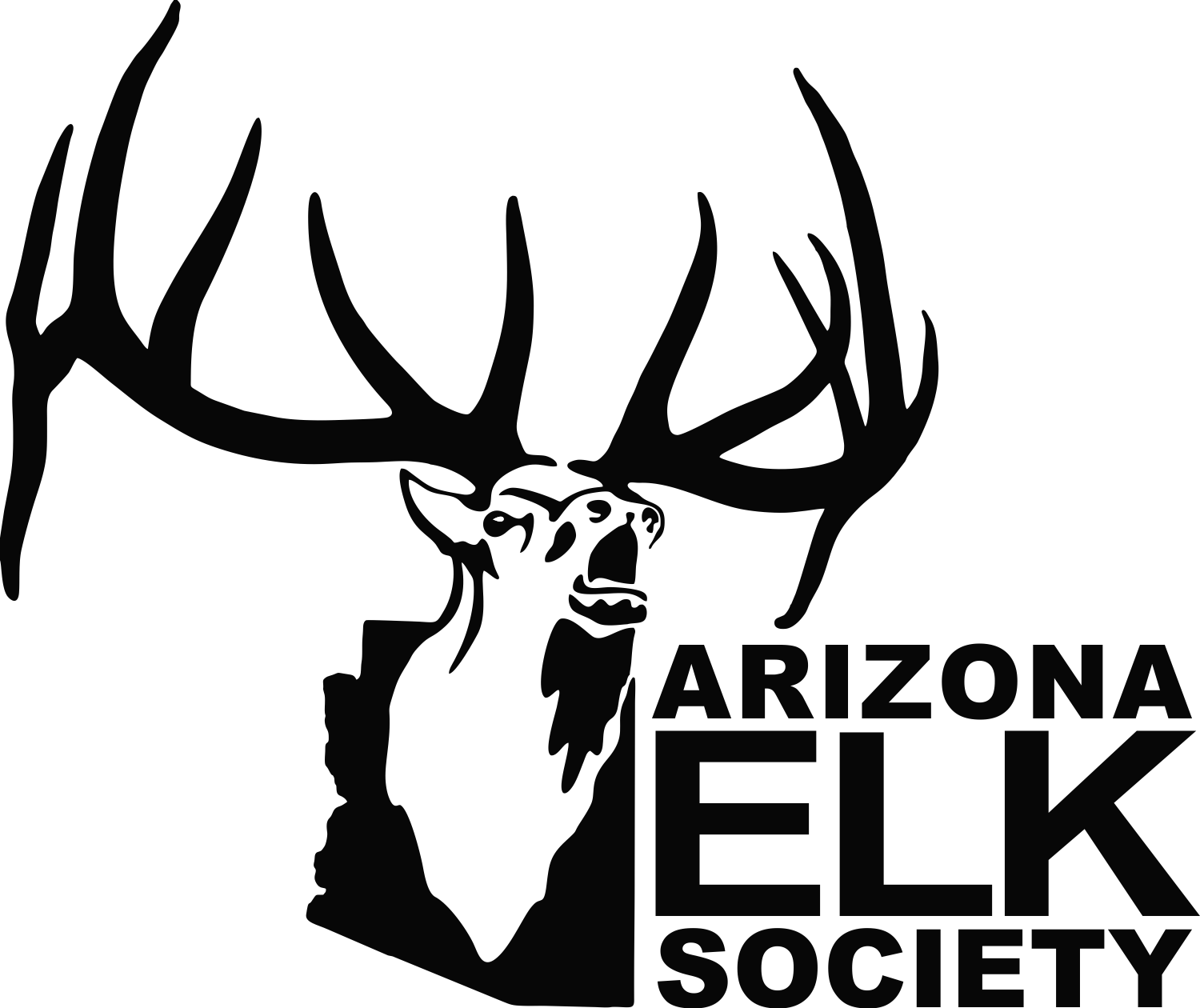 Silencer Central SoLo 22 Suppressor Raffle AES Raffles