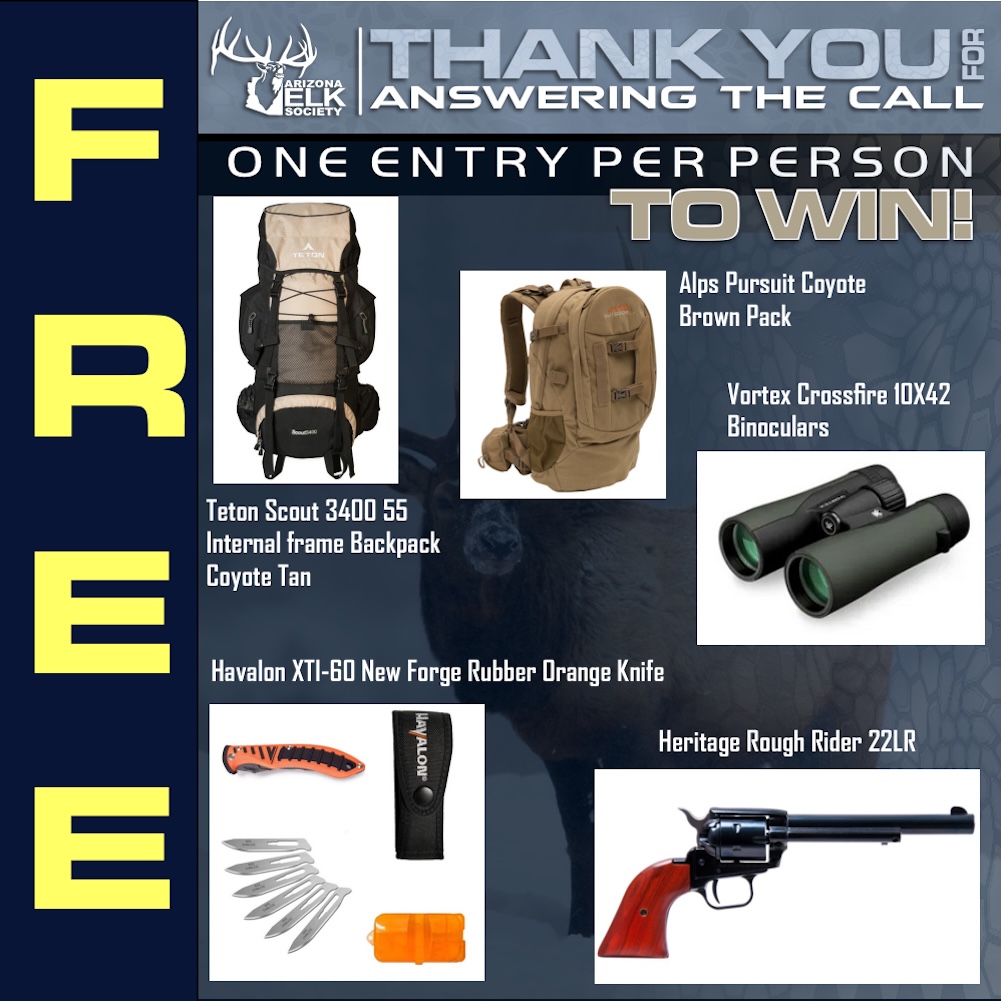 AES-Raffles-free-raffle