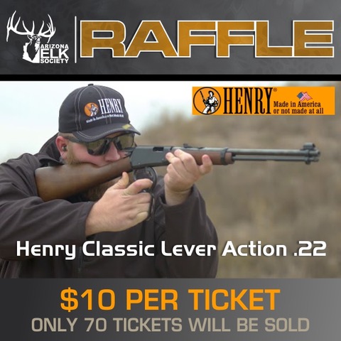 AES-Henry-Classic-Lever-Action-22-01 (002)