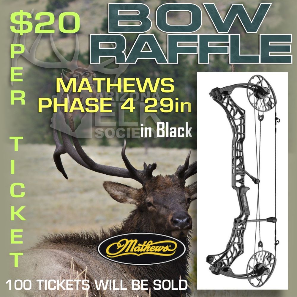 AES_Mathews-Phase-4-29-in-Black-Bow