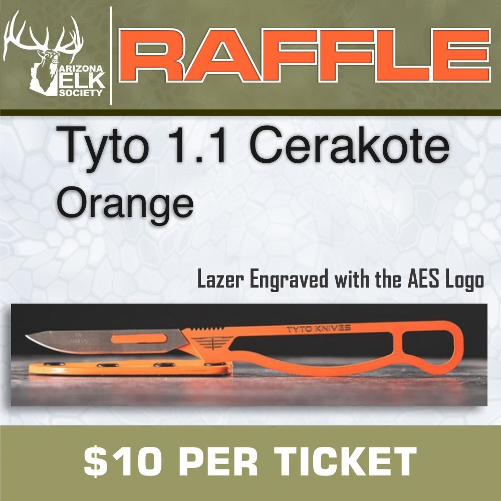 12-21-25 AES-Tyto_1.1-Cerakote-Orange-no-limit