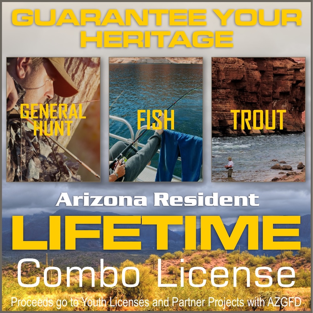 AES-Arizona-Lifetime-License-01-N