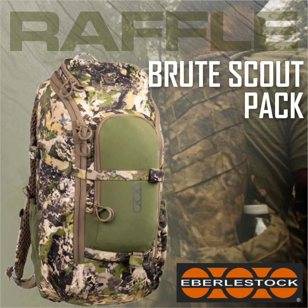 AES-Eberlestock-Brute-Scout-Pack-01-N