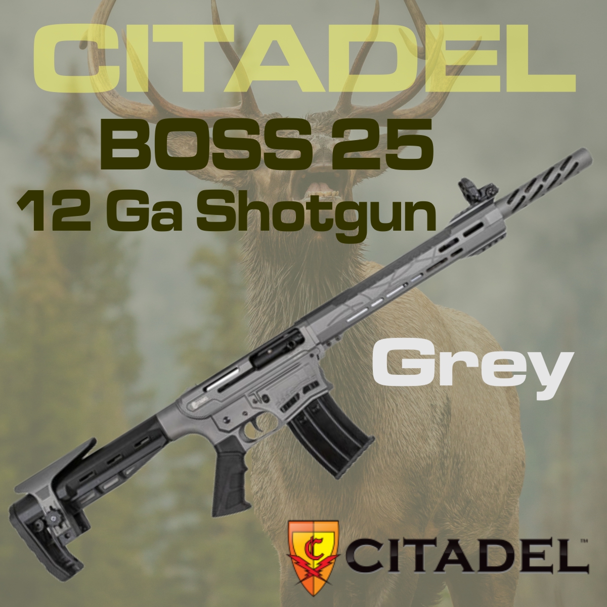 AES-Citadel-BOSS-25_Grey_12Ga_Shotgun-02-N