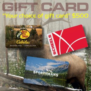 Your Choice $500 Gift Card Raffle