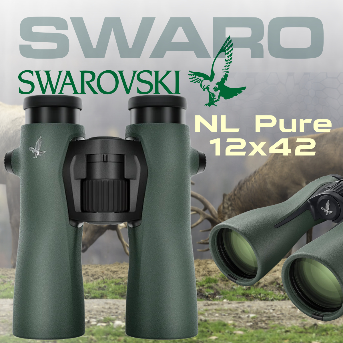 Swarovski NL Pure 12 X 42 Raffle