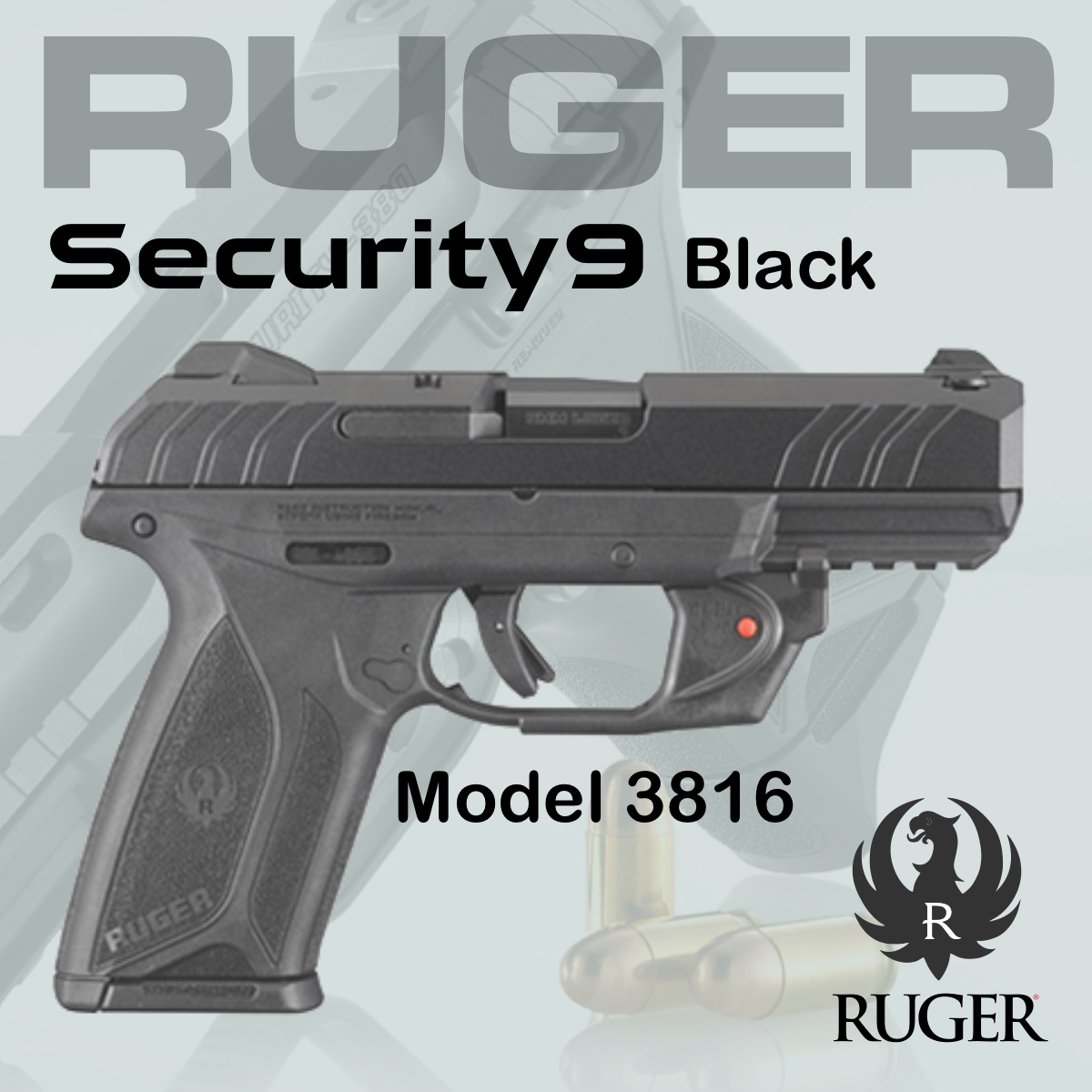 Dollar Days Ruger Security 9 Laser Raffle